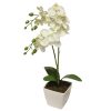 Купить Растение искусственное Орхидея Фаленопсис