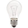 Купить Лампа накаливания PHILIPS A55 Е27 60W CL в Санкт-Петербурге по недорогой цене и с быстрой доставкой.