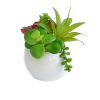 Купить Растение искусственное Суккуленты mini
