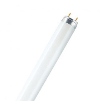 Купить Лампа люминесцентная Osram L36W/640 CW в Санкт-Петербурге по недорогой цене и с быстрой доставкой.