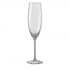 Купить Набор бокалов д/шампанского Грандиосо 2шт 230мл стекло в Санкт-Петербурге по недорогой цене и с быстрой доставкой.
