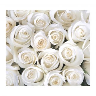Купить Фотообои Divino Decor В1-091 "Розы белые"  300*270см в Санкт-Петербурге по недорогой цене и с быстрой доставкой.