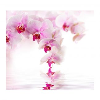 Купить Фотообои Divino Decor D1-070 "Розовая орхидея" 300*270см в Санкт-Петербурге по недорогой цене и с быстрой доставкой.