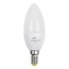 Купить Лампа светодиодная PLED- ECO-C37 5w E14 3000K 400Lm Jazzway в Санкт-Петербурге по недорогой цене и с быстрой доставкой.