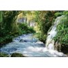 Купить Фотообои Восторг (бумажные)Тропический водопад (294х201) 9л в Санкт-Петербурге по недорогой цене и с быстрой доставкой.