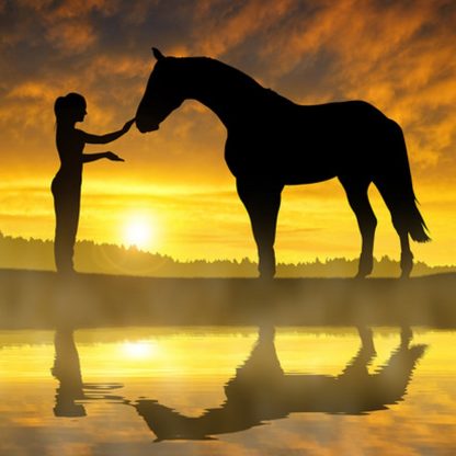 Купить Картина холст на подрамнике Девушка и лошадь у воды