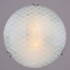 Купить Светильник настенно-потолочный Россвет РС-023 2*E27*60Вт d 30см Сетка глянцевый в Санкт-Петербурге по недорогой цене и с быстрой доставкой.