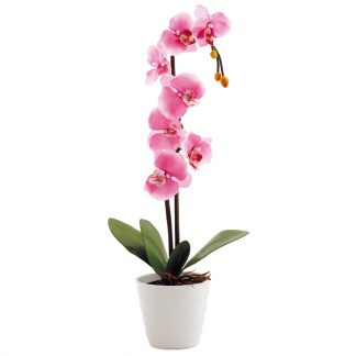 Купить Светильник декоративный СТАРТ LED Орхидея2 розовый в Санкт-Петербурге по недорогой цене и с быстрой доставкой.
