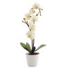 Купить Cветильник декоративный СТАРТ LED Орхидея белая в Санкт-Петербурге по недорогой цене и с быстрой доставкой.