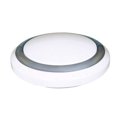 Купить Светильник настенно-потолочный LED BSW1628/24W