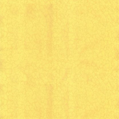 Купить Обои Гомельобои (бумажные дуплекс) Голландия 6091-52(фон 2-2) желт 0