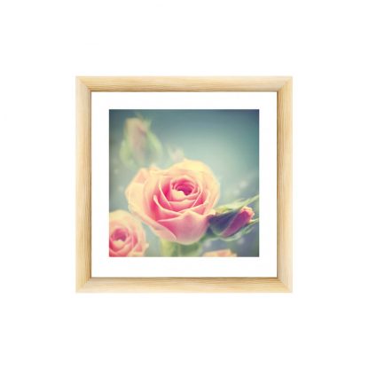 Купить Картина натур - постер в раме Розовые розы